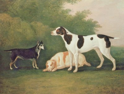 Tre cani in un paesaggio da John Boultbee