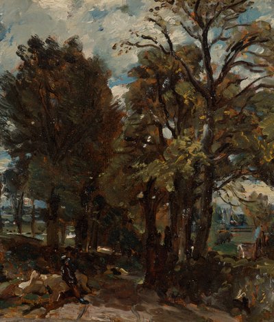 Fen Lane, East Bergholt, ca. 1811 da John Constable