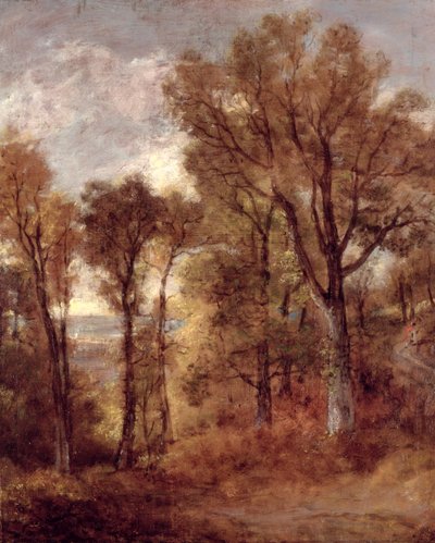 Vista boschiva nel Suffolk da John Constable