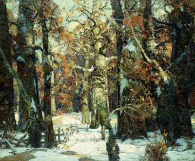 Corridoi della Foresta, Berkshires da John Fabian Carlson