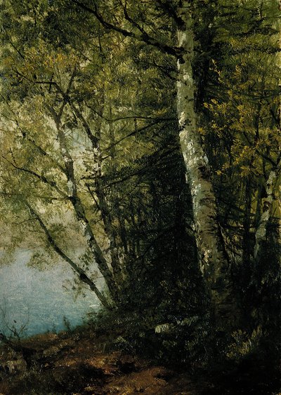 Studio di faggi, 1872 da John Frederick Kensett