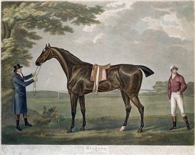 Il cavallo da corsa Diamond, c.1799 da John Nott Sartorius