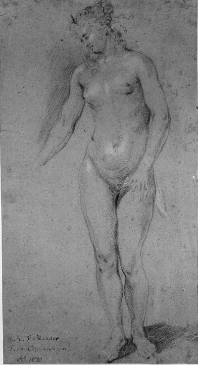 Donna nuda in piedi da Karel van III Mander