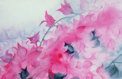 Bougainvillea da Karen Armitage