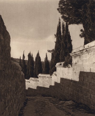 Gerusalemme, Giardino del Getsemani (foto in bianco e nero) da Karl Grober