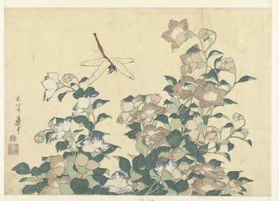 Campanula e libellula da Katsushika Hokusai