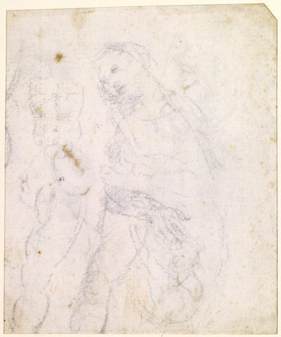 Studio di una Madonna da Leonardo da Vinci