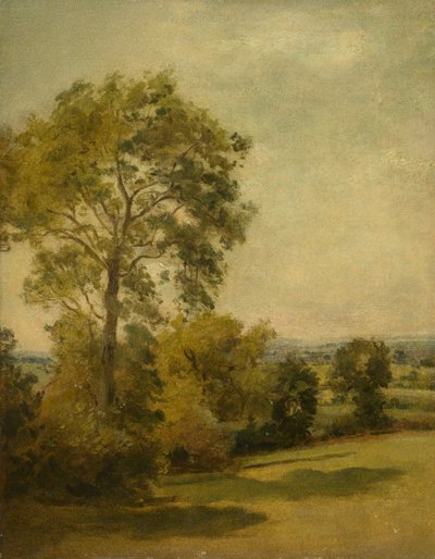 Albero in un Paesaggio da Lionel Constable