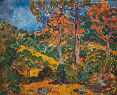 Luce del sole sotto gli alberi da Louis Valtat