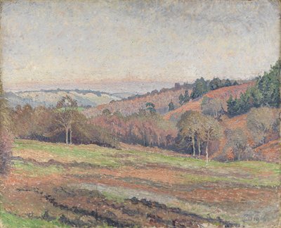 Vecchio Campo di Mark, Coldharbour, Surrey da Lucien Pissarro