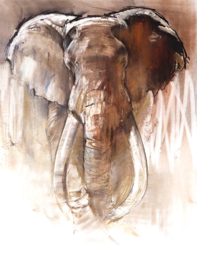 Elefante Maschio da Mark Adlington