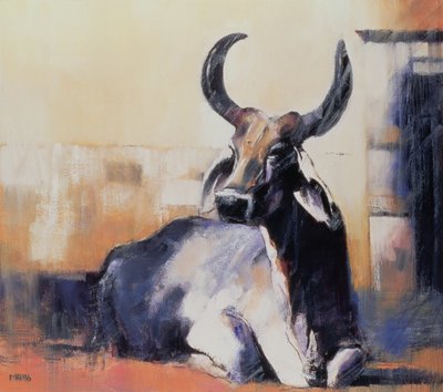 Mucca sacra, Bhuj, 1996 da Mark Adlington