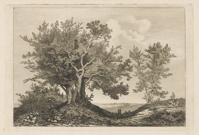 Strada di campagna tra due filari di alberi da Martinus Antonius Kuytenbrouwer jr.