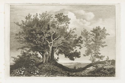 Strada di campagna tra due filari di alberi da Martinus Antonius Kuytenbrouwer jr.