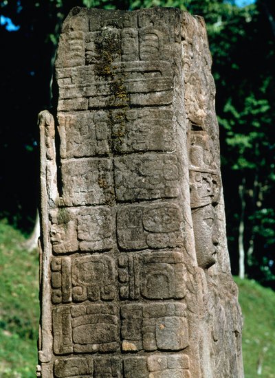 Dettaglio di una stele della Grande Piazza da Mayan