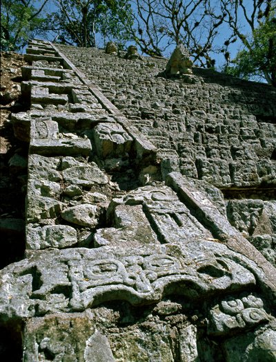 Vista della Scalinata Geroglifica, 743 d.C. da Mayan