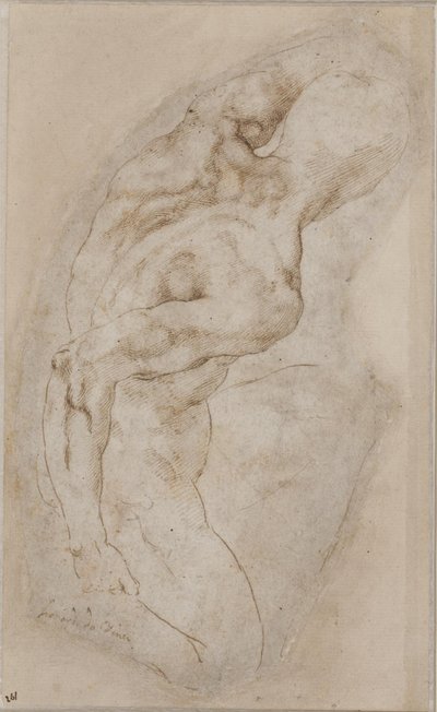 Un giovane inginocchiato visto da dietro da Michelangelo Buonarroti