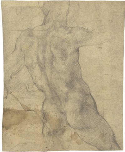 Nudo maschile da Michelangelo Buonarroti