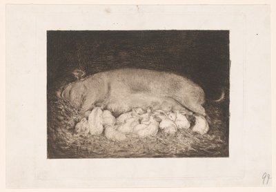 Scrofa con maialini da Nicolaas van der Waay