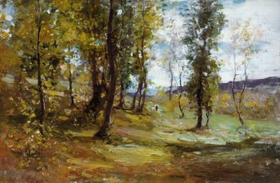 Radura nella foresta da Nicolae Grigorescu