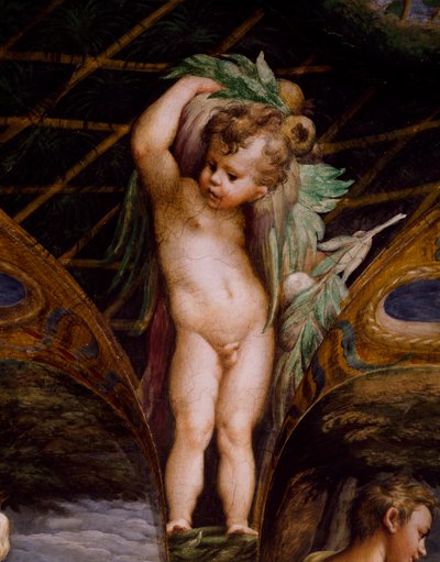 Putto, dal Mito di Diana e Atteone da Parmigianino