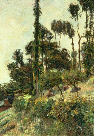 Il Lato della Collina da Paul Gauguin