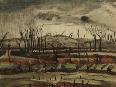 Paesaggio Desolato, Saliente di Ypres da Paul Nash