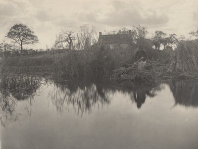 Quanting the Gladdon da Peter Henry Emerson and T.F. Goodall