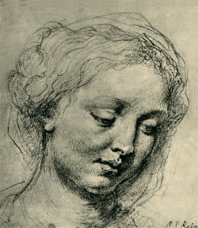 Testa di una donna da Peter Paul Rubens