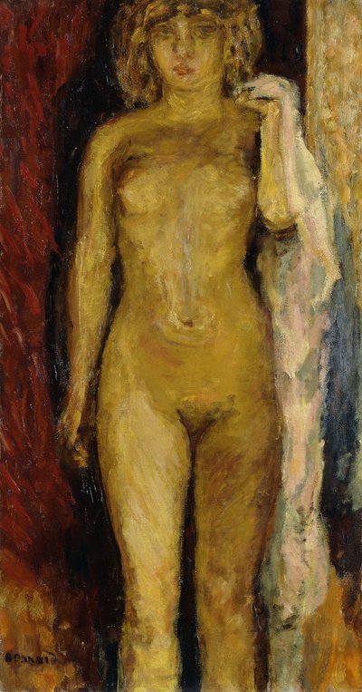 Nudo, illuminato da una lampada da Pierre Bonnard