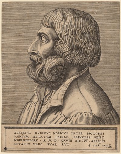 Albrecht Durer da Pieter van der Heyden