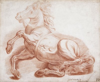 Un cavallo caduto da Pietro Dandini