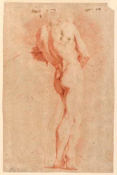 Studio figurativo da Pietro da Cortona