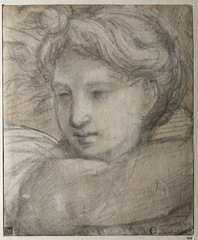 Testa di un Angelo, c. 1520 da Raffaello Sanzio Raphael