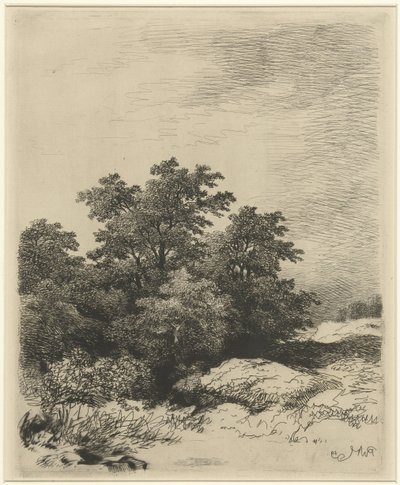 Paesaggio con alberi da Remigius Adrianus Haanen