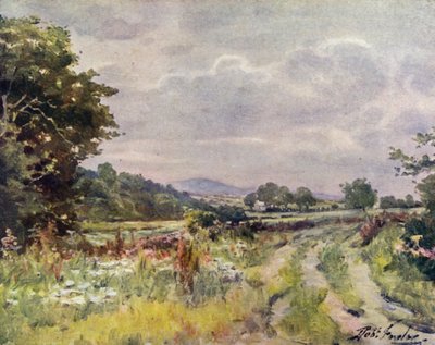 Strada di campagna (litografia colorata) da Robert (after) Fowler