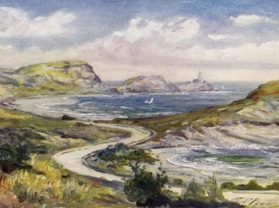 Vista vicino a Mumbles, Swansea da Robert (after) Fowler