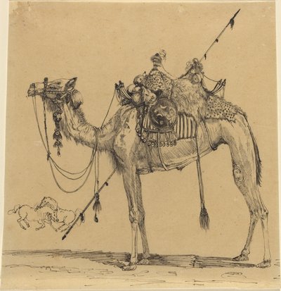 Il cammello da Rodolphe Bresdin