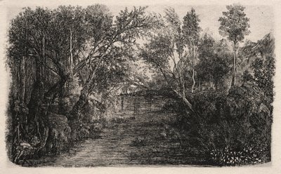 Il ruscello, 1880 da Rodolphe Bresdin