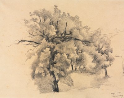 Studio di Alberi da Roger de La Fresnaye