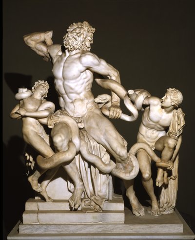 Laocoonte e i suoi figli (marmo) da Roman