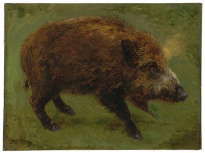 Il cinghiale da Rosa Bonheur