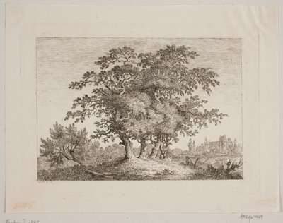 Paesaggio con querce da Samuel Mygind