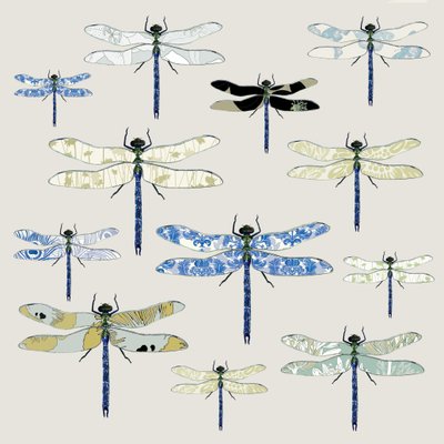 Odonata, 2008 da Sarah Hough