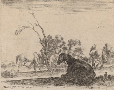 Cavalli in un pascolo, 1642 da Stefano della Bella