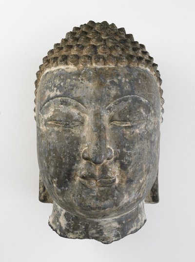 Testa colossale di Buddha da Sui Dynasty Chinese School