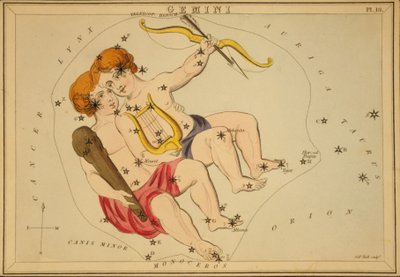 Gemelli, illustrazione da 