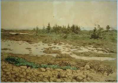 Pietre rotolanti, acqua e cespugli da Theodor Kittelsen