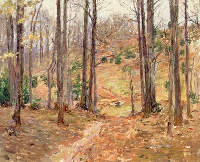 Boschi della Virginia da Theodore Robinson