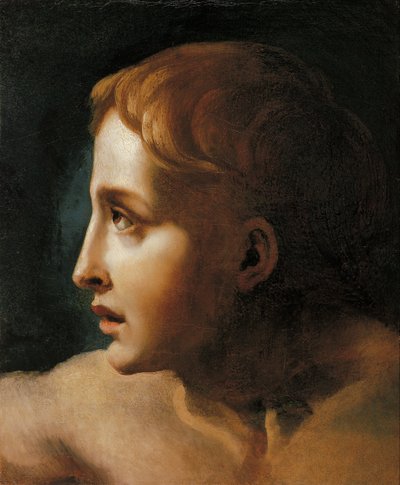 Testa di un giovane da Theodore Gericault